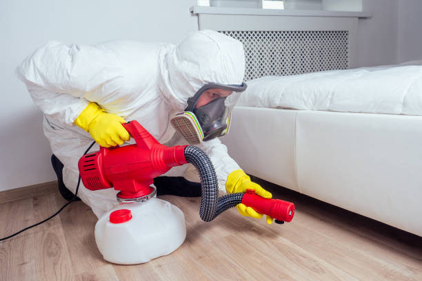 Best Wasp Removal Services  in Hitchcock, TX