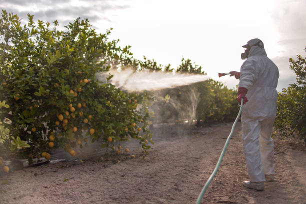 Best Residential Pest Control  in Hitchcock, TX