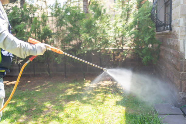 Best Wildlife Control Services  in Hitchcock, TX