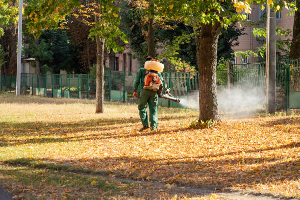Best Emergency Pest Control  in Hitchcock, TX