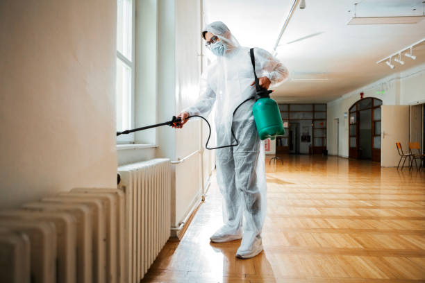 Best Bed Bug Extermination  in Hitchcock, TX
